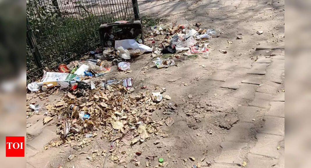 Only 20 sanitation workers for 20km: Waste piles up on roads and ...