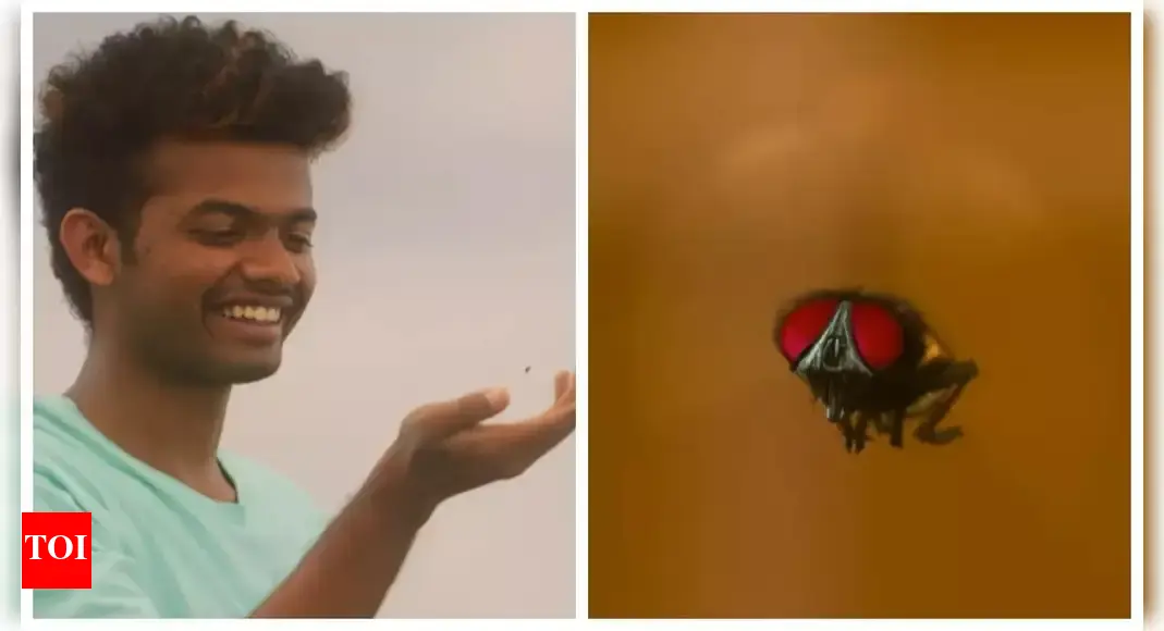 ‘Lovely’ teaser: When a fly becomes the heroine! Mathew Thomas starrer sparks curiosity