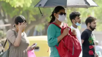 Maximum temperature in Delhi likely to touch 33 degrees Celsius