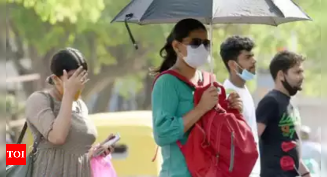 Maximum temperature in Delhi likely to touch 33 degrees Celsius – The Times of India