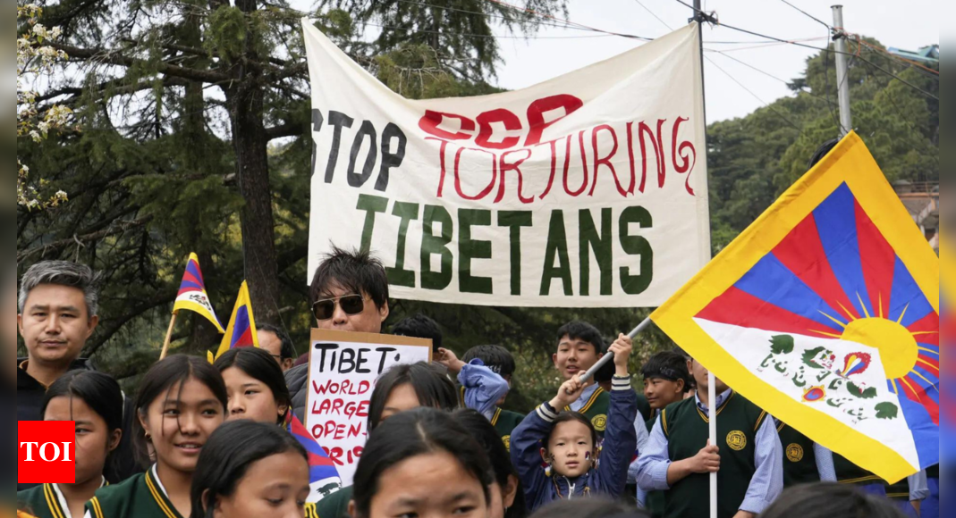 Scuffle occurs outside Chinese Embassy in India as Tibetans mark uprising anniversary