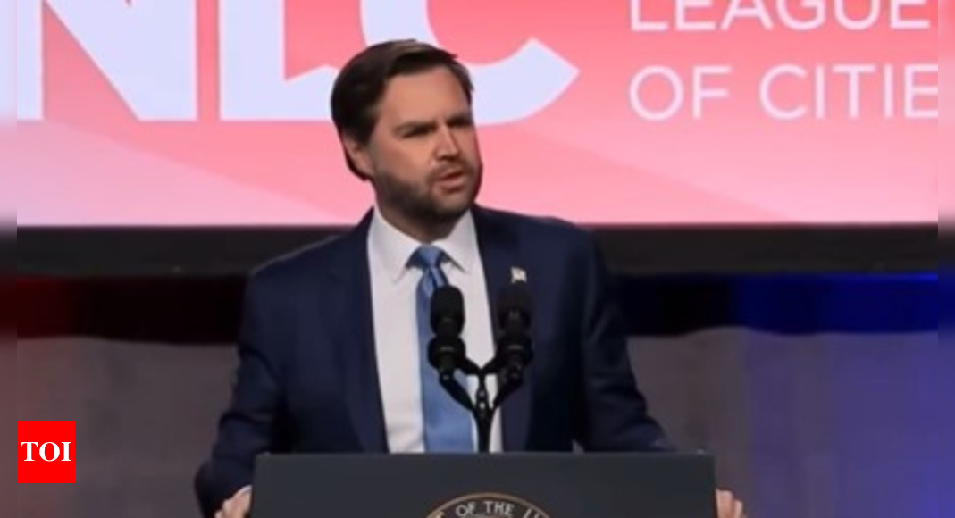 JD Vance smacks down 'disruptor' during migration speech: 'I see one of our...'