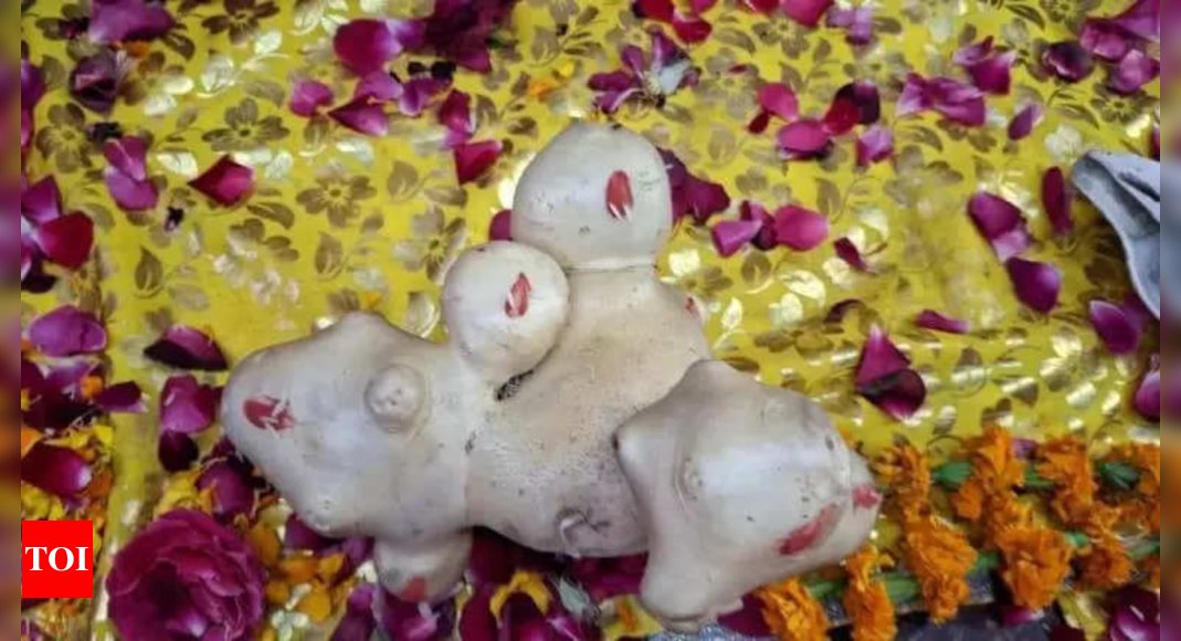 Devotees flock to Sambhal temple to worship potato with ‘4 Vishnu avatars’