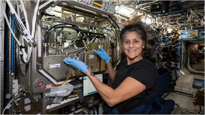 Garden watering, making microbes: What kept Nasa astronaut Sunita Williams busy in space?