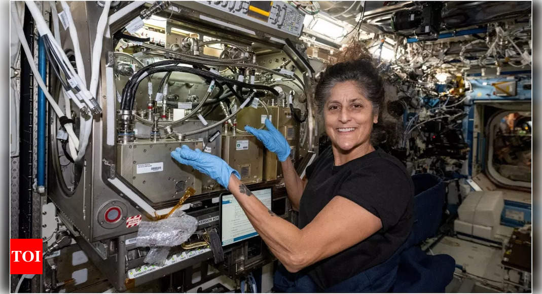 Garden watering, making microbes: What kept Sunita Williams busy in space?