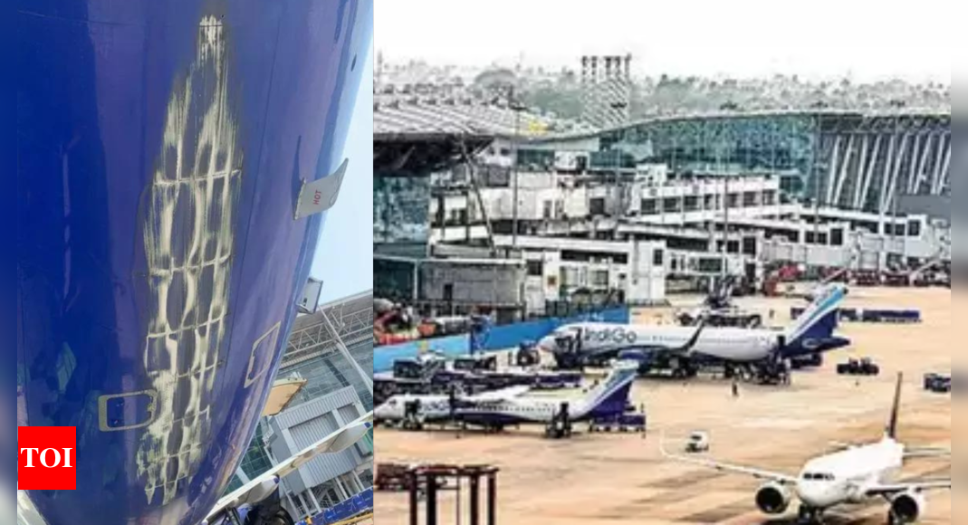 IndiGo plane suffers tail strike at Chennai airport; experts say poor ...