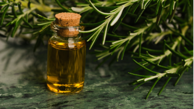 Best Rosemary Oils to Boost Hair Growth and Revive Your Scalp