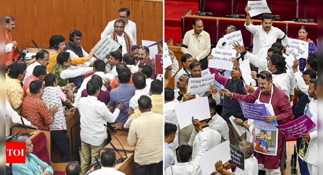 'Mishra pushed me': BJP, Cong engage in scuffle in Odisha assembly - watch