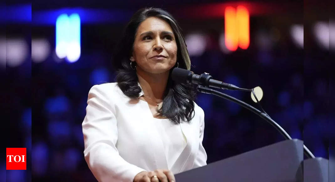 Tinker tailor soldier spy: US intel czar Tulsi Gabbard to visit India