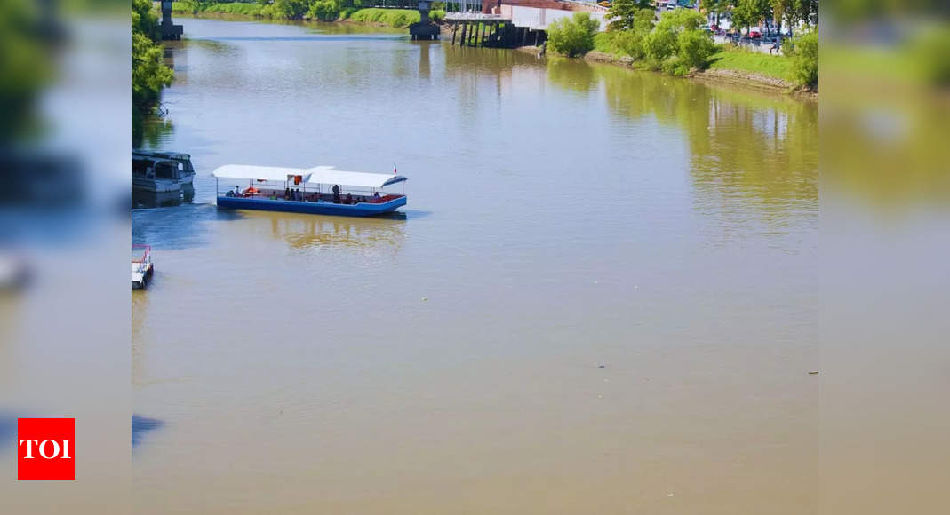 Soon Delhi will have eco-friendly water taxis running on Yamuna