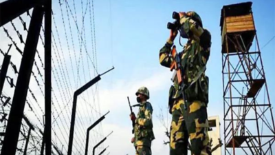 BSF seized Rs 461 crore-worth contraband items on Indo-Bangladesh border in 2024, says Centre