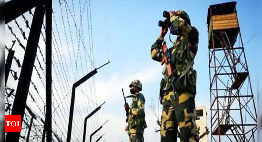 BSF seized Rs 461 crore-worth contraband items on Indo-Bangladesh border in 2024, says Centre