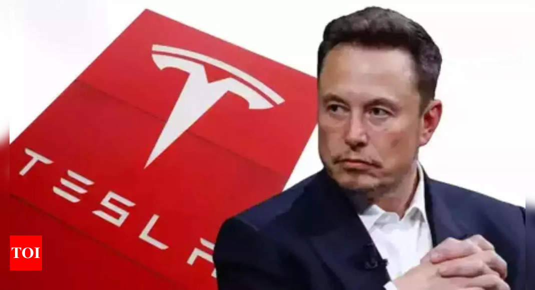 How Elon Musk may have admitted what many Tesla investors \'fear\' - The Times of India