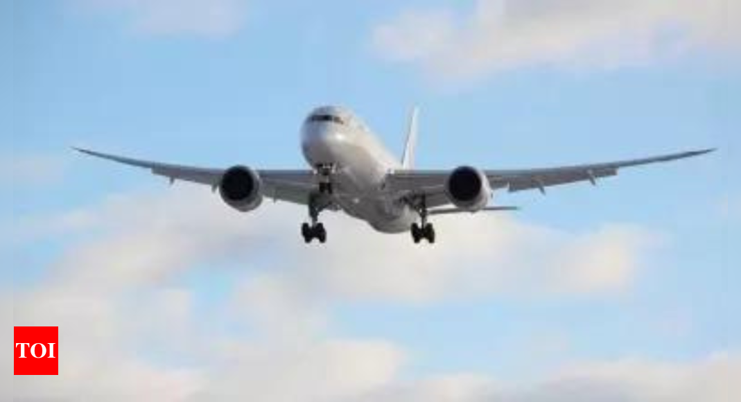 Aging aircraft, old ducts, scaling in pipes, and passenger behaviour lead to stink