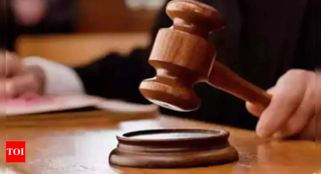 Rajasthan HC allows 13-year-old rape survivor to abort 27-week fetus