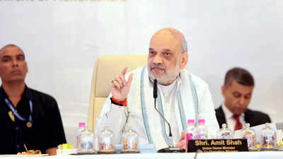 No youth from NE will have to migrate for work in next 10 years: Amit Shah