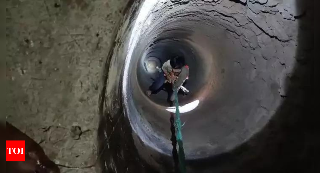 Watch: Rajasthan man descends into 120-feet well to rescue stranded cat