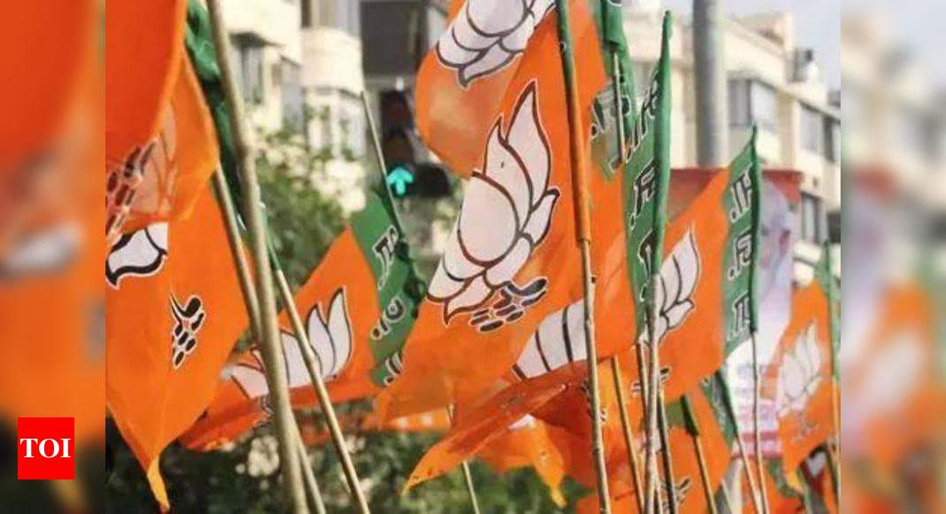 After assembly election, BJP asserts dominance in Haryana local body polls, wins 9 out of 10 corporations