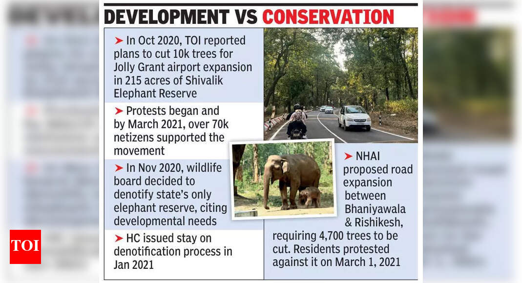4,727 trees in Shivalik reserve to be felled for road widening on Doon ...