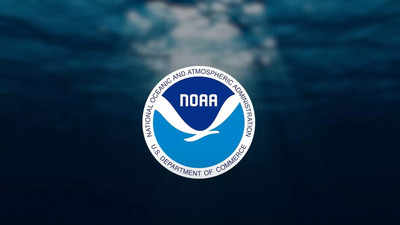 ट्रम्प के संघीय कटौती के रूप में NOAA 1,000 से अधिक कर्मचारियों को आग लगाता है, अन्य विभागों में छंटनी की उम्मीद है