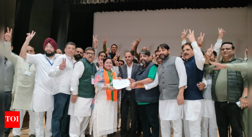 BJP sweeps civic bodies’ election in northern Haryana districts, Barara won by independent