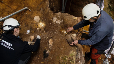 Archaeologists uncover the oldest known partial face fossil of a human ancestor in western Europe