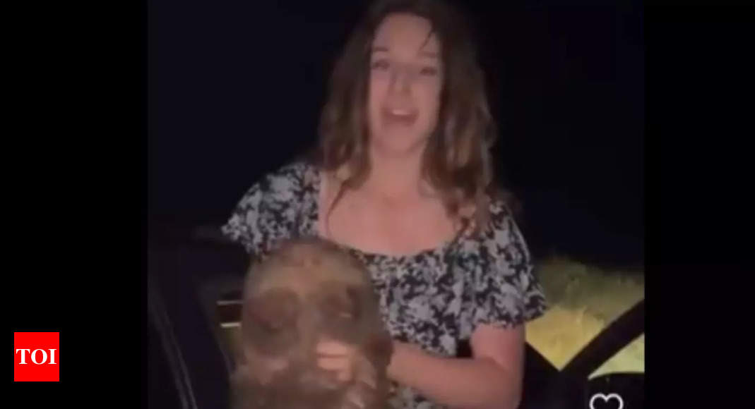 Viral video: American influencer pulls baby wombat from distressed mom, internet demands action