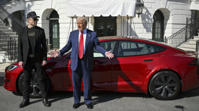 'President Car Salesman Now' is: Democrat Julie Rosinesky Slams Trump to 'buy', 'Elon Musk to' Red Tesla '