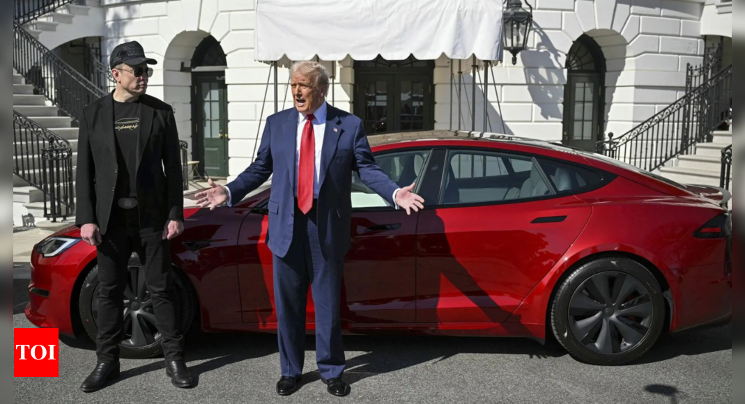 ‘President is car salesman now’: Democrat Julie Roginsky slams Trump for ‘buying, promoting’ red Tesla from Elon Musk – The Times of India