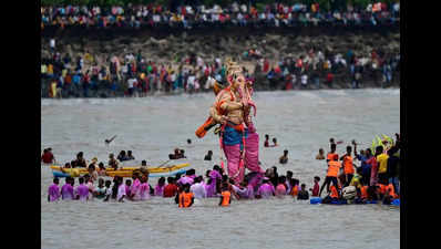 Fadnavis: State govt will urge HC for more time to ban PoP Ganesh idols