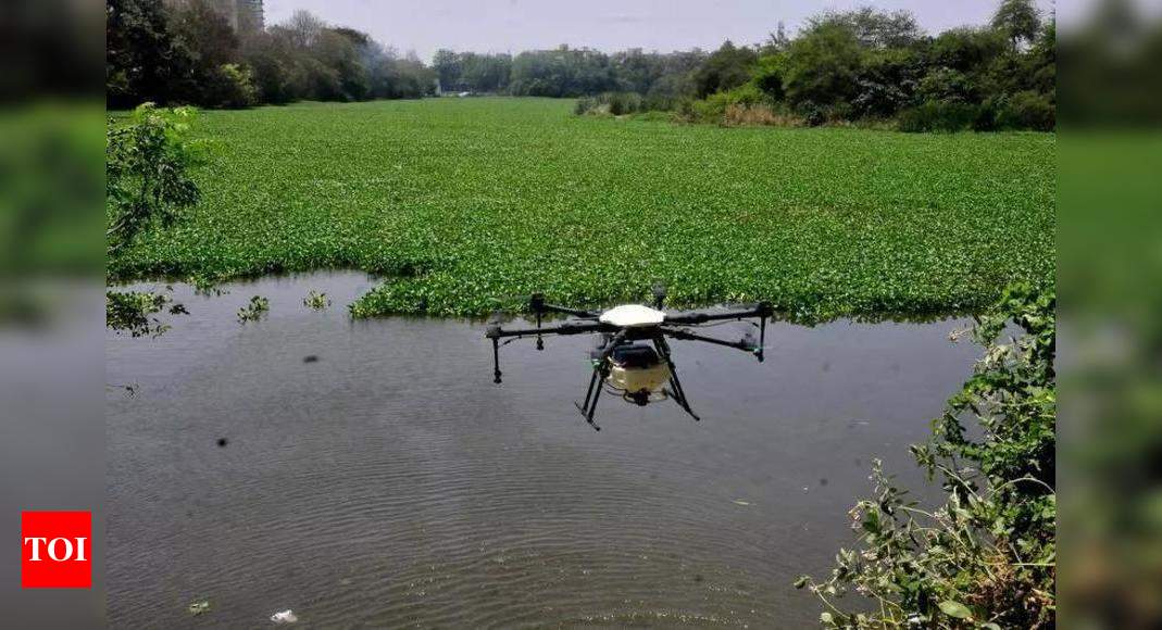 Odisha villagers use drone to nab thief