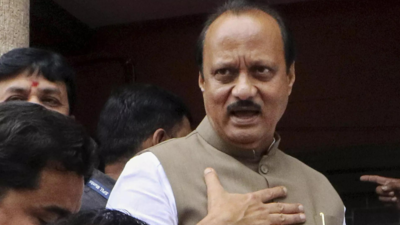 Indian Muslims are patriotic, says Ajit Pawar