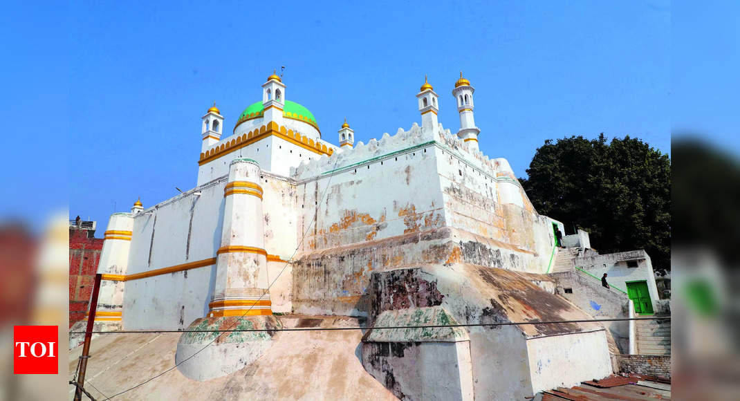 ASI can whitewash Sambhal mosque facade: Allahabad high court