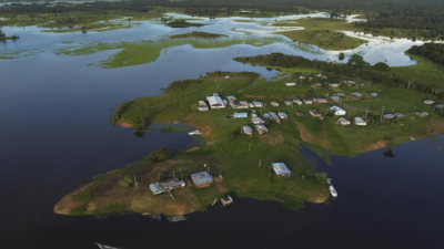 Objective defeated: Brazil cuts thousands of trees to make way for the climate summit