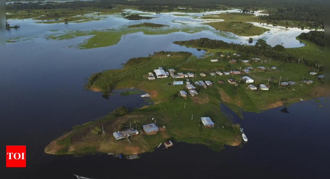 Purpose defeated: Brazil cuts thousands of trees to make way for climate summit