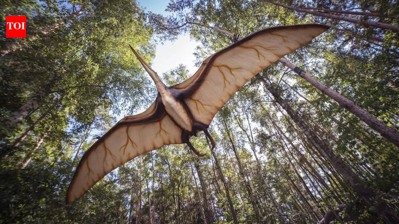 7 species that were rediscovered after many years of extinction