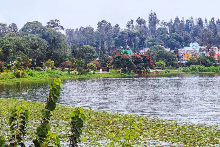 Yercaud, Tamil Nadu