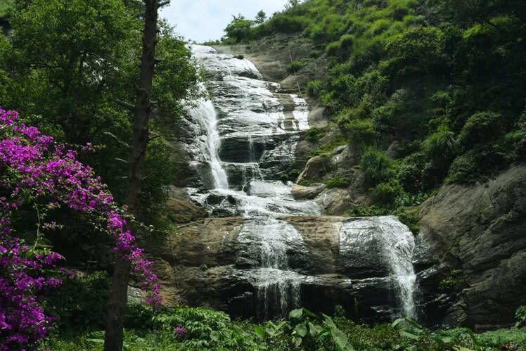 Kodaikanal, Tamil Nadu