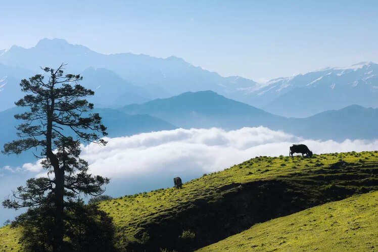 Dayara Bugyal