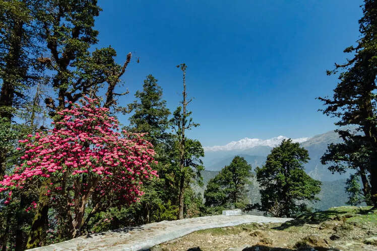 Chopta