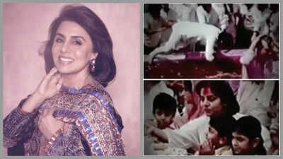 When Neetu Kapoor shared a rare video from Raj Kapoor's 'wild Holi Party' featuring Rishi Kapoor and Ranbir Kapoor - WATCH