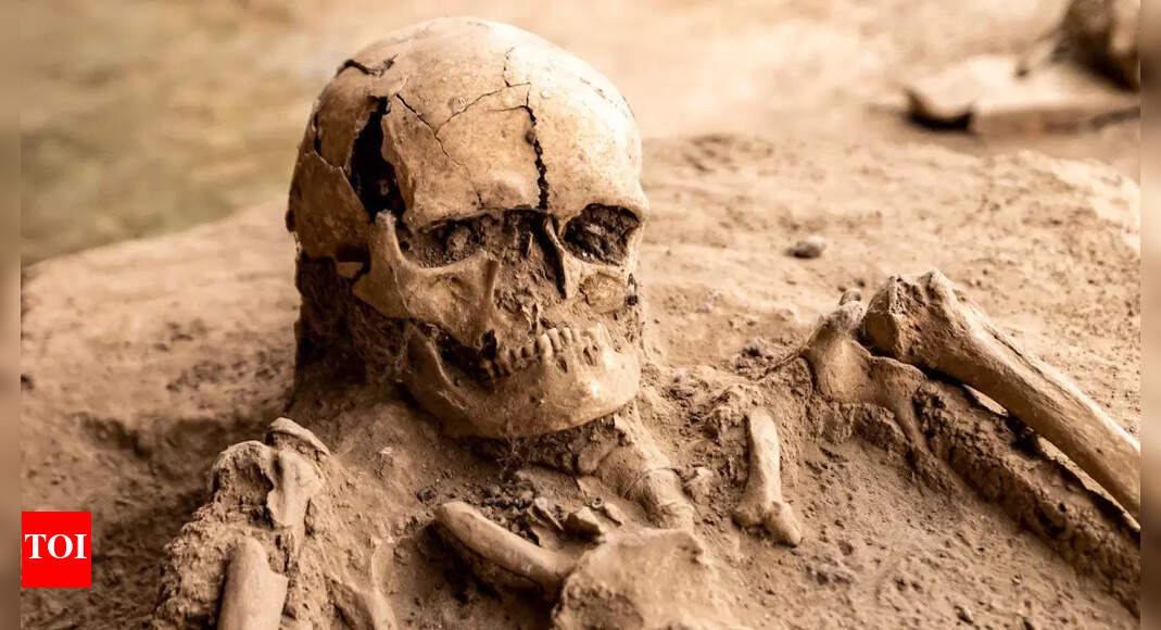 5 of the oldest human fossils ever found and the fascinating stories behind them