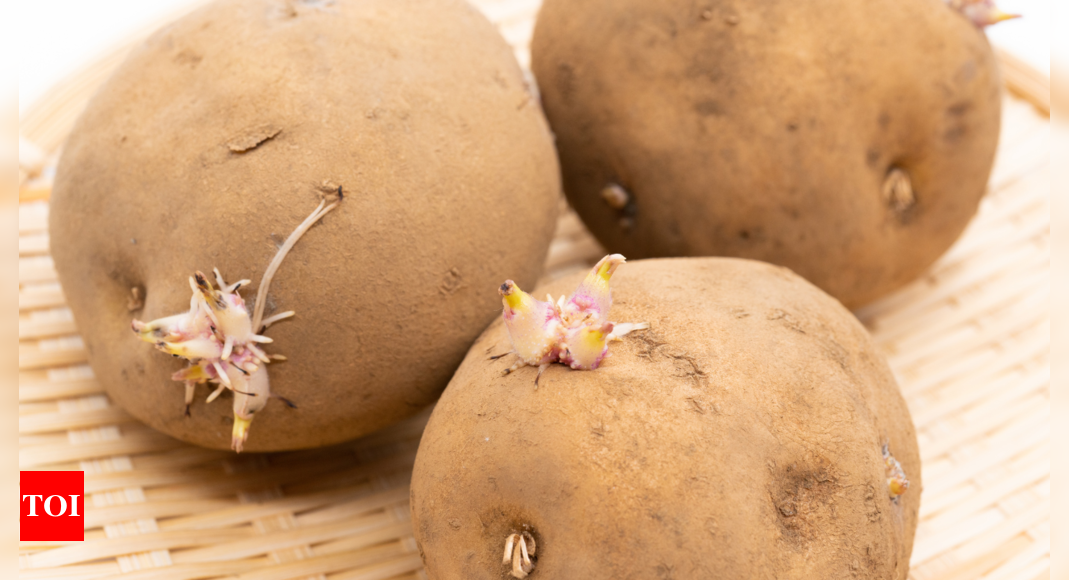 Is it safe to eat sprouted potatoes?