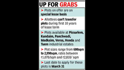 Goa govt offers 20 industrial plots for cos headed by women
