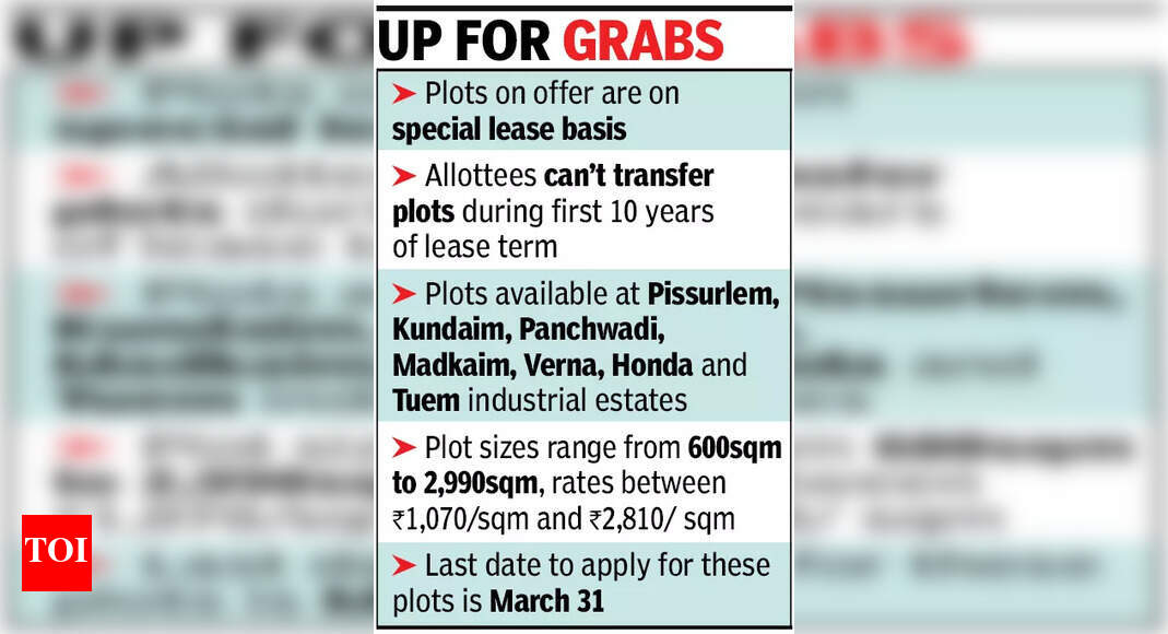 Goa govt offers 20 industrial plots for cos headed by women | Goa News ...