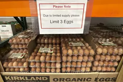 Got some eggs to spare? US asks Europe