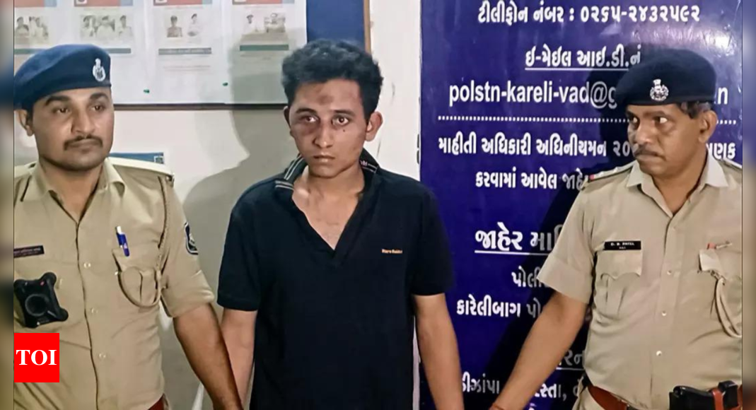 Vadodara car crash accused Rakshit Chaurasia blames pothole, denies drunk driving