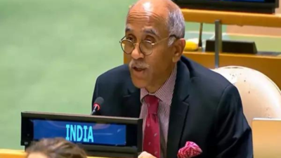 'Fanatical mindset': India slams Pakistan in UN over 'unjustified' reference to J&K