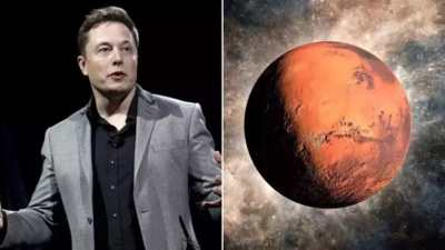 Humans on Mars by 2029? Elon Musk's SpaceX starship to head for the red planet by next year