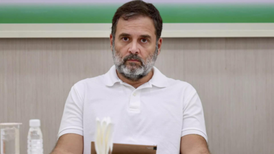 'Frequent visits are curious': BJP slams Rahul Gandhi for visiting Vietnam 'more than his constituency'